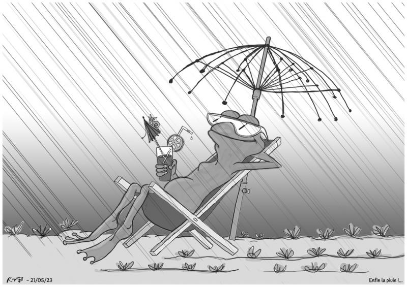 dessin de presse