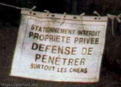 insolite