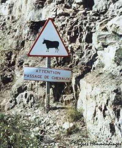 insolite