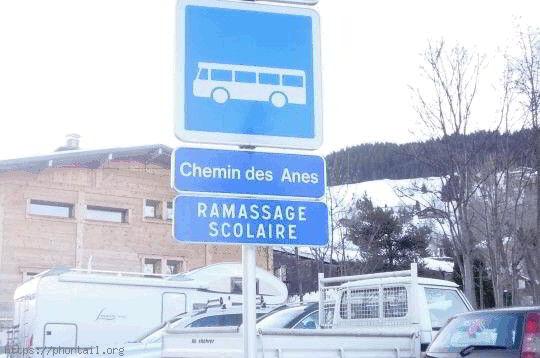 Panneaux routiers le bus Photo insolite