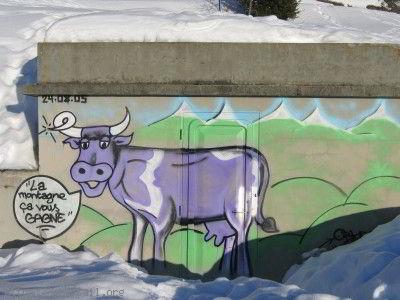 La vache Photo insolite