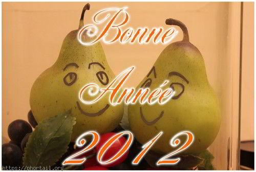 Bonne ann&eacute;e 2012 Photo insolite