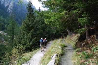 Bisse du Trient