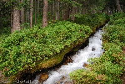 Bisse de Champex