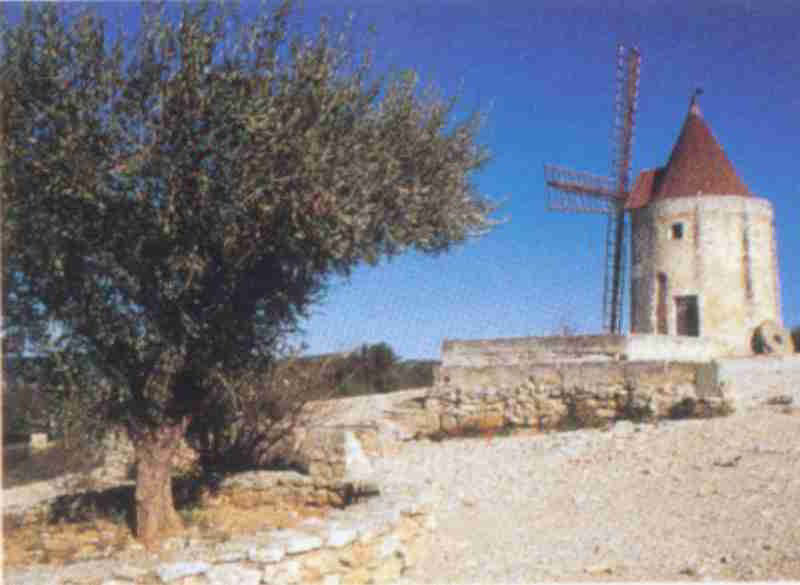 Fond d'�cran Moulin de Daudet