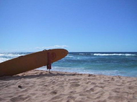 Fond d'�cran Planche de Surf