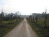fond0418.jpg