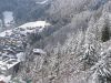 fond0514.jpg