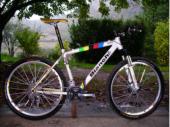 Vends VTT Bianchi Oetzi Replica Absalon taille M