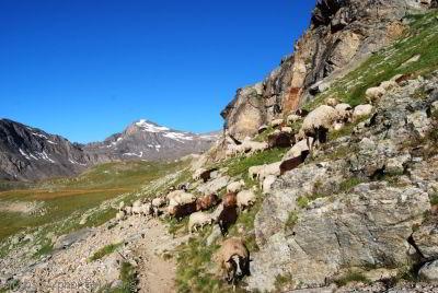 Bonneval - Arc Plan Sec