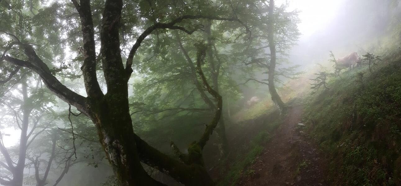 GR10 du Béarn au Pays basque