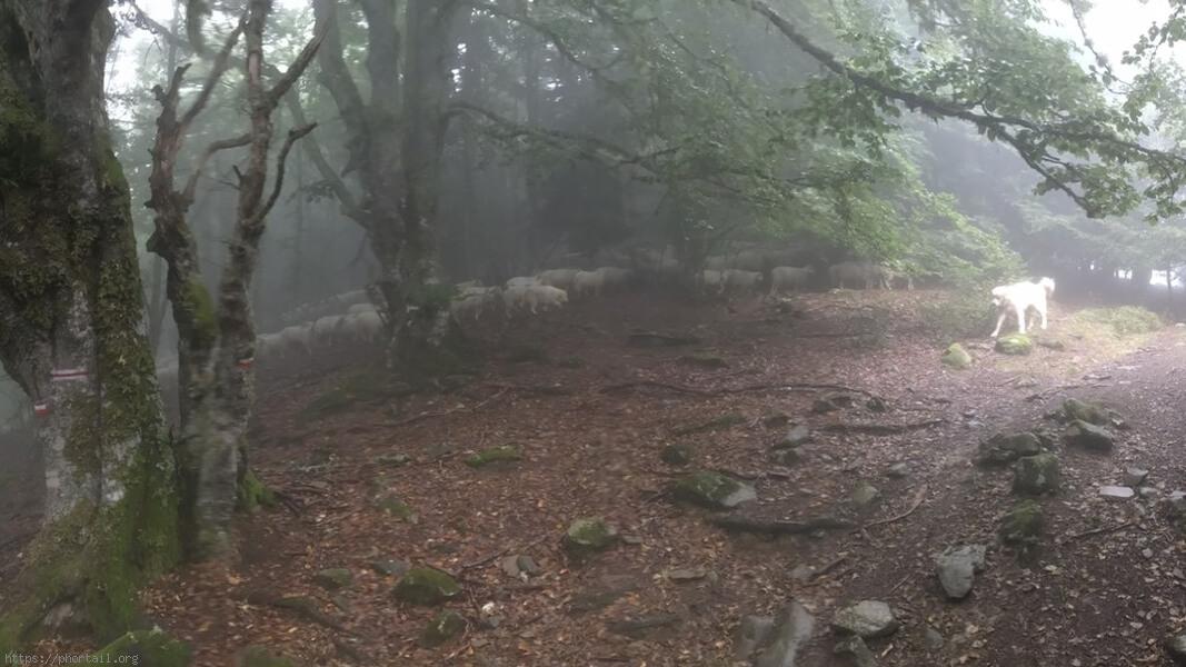 GR10 du Béarn au Pays basque