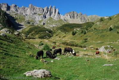 la Balme