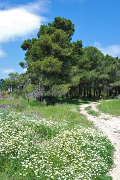 Tour du Golfe antique en Narbonnaise