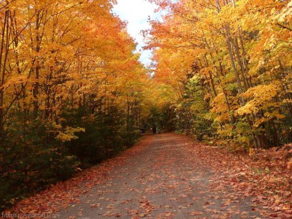Photo L'Automne comme au canada avec ses mille couleurs dont 50 nuances de rouge
