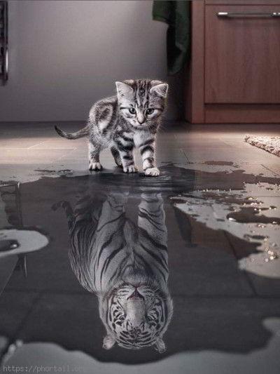 Photo Dis moi qui c'est le plus fort