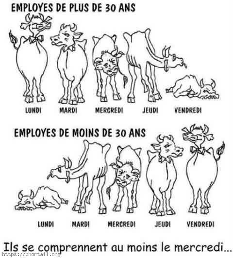 Photo Catégorie d'employés selon le jour de la semaine