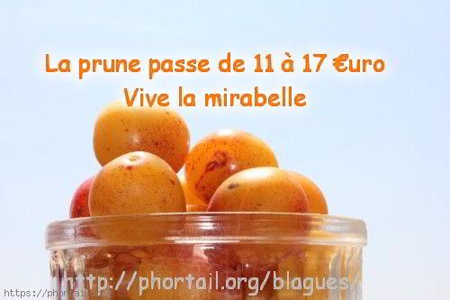 Photo 1er Aout la saison des mirabelles