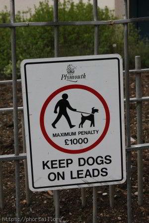 Photo Une amende qui a du chien.