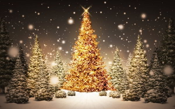 Lumieres Des Sapins De Noel Blague Du Jour Lumieres Des Sapins De Noel Blague Du Jour