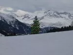 Carte Noël à la montagne
