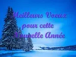 Sapin de Noël