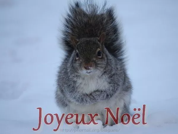 Carte de Joyeux Noël