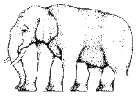 éléphant illusion d'optique