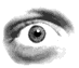 GIF oeil droit