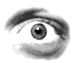 GIF oeil gauche