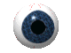 GIF oeil qui bouge
