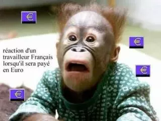 Euro