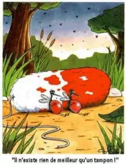 Moustiques