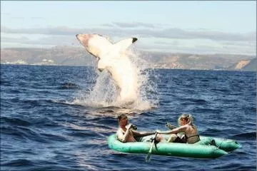 Balade en mer