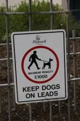 Une vie de chien