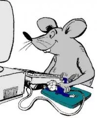Souris