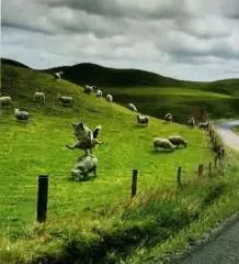 Moutons