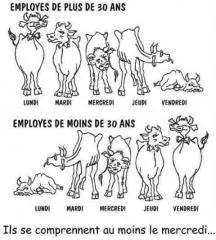 Au bureau les filles