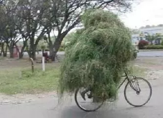 Vélo Vert