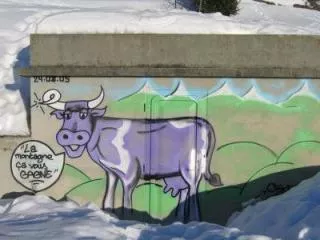 La vache