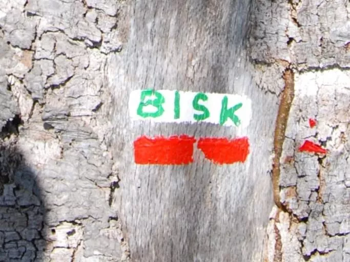 GR10 Bisk, telle est la trace du GR en Pays basque avec le vert du drapeau basque (ikurrina)